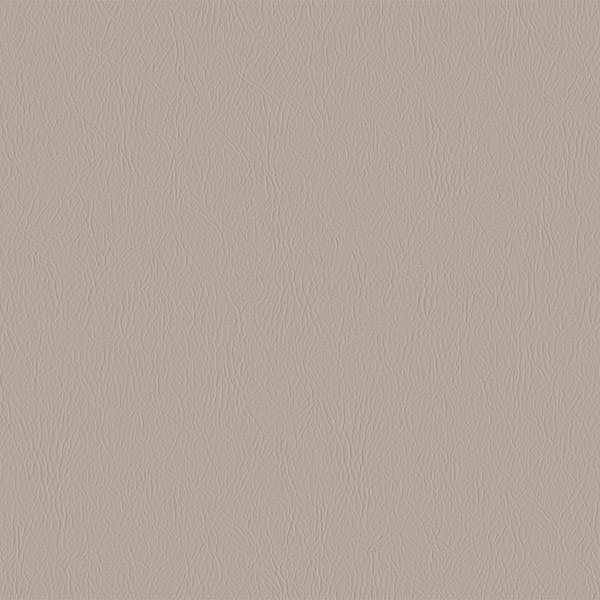 PP09-萊茵-同步層染白